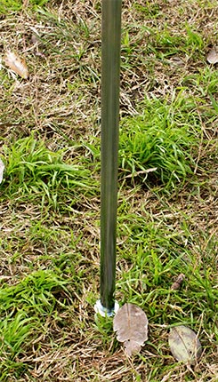 Parante zincado flybanners